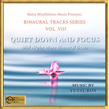 Vol8_QuietDownandFocus